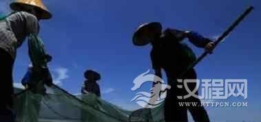 京族文化为何说京族文化具有海洋韵味