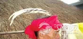 黎族巫医是真实的吗？黎族巫医是咋治病的