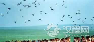 鄂温克族“米阔鲁节”：一个庆祝丰收的节日