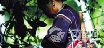 在黎族医药学中都有哪些健康理论呢