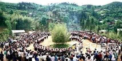 仡佬族节日仡佬族的拜树节是什么节日
