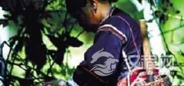 黎族巫医能治病吗？黎族巫医是怎样治病的