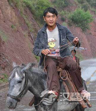 勤劳的象征忠诚的卫士普米人敬重耕牛和狗