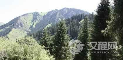 锡伯族文化锡伯族的祈年树是怎么来的