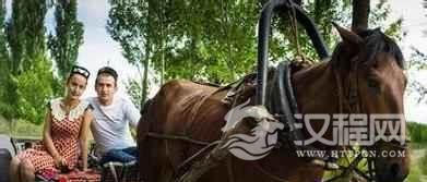 塔塔尔族历史塔塔尔族人们是怎样养蜂致富的