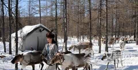 鄂温克族跳什么舞蹈？鄂温克族天鹅舞