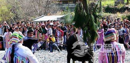 独龙族唯一的传统节日是什么？独龙族独龙年习俗简介