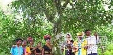 布朗族与其他民族之间的关系是怎样的