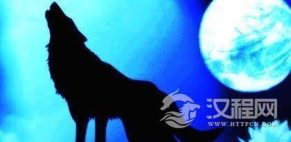 蒙古族的狼图腾文化：团结