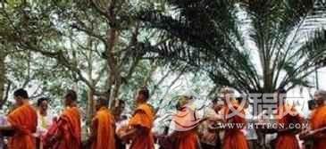 德昂族习俗德昂族的佛学教育是怎样的