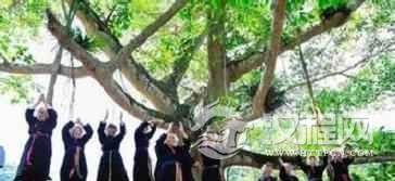 壮族节日壮族霜降节是为了纪念什么