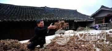 苗族早期的医药活动为何会与巫术相结合