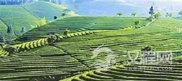 汉族历史汉族农业发展史简介