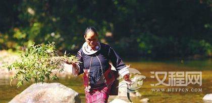 神奇的黎族医药文化