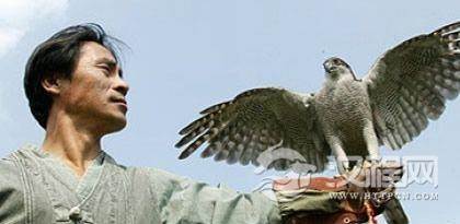 纳西族的鹰猎文化及精神