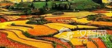 红河哈尼族的梯田有啥历史？有啥特点