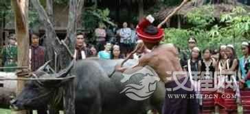 佤族祭祀：佤族人是怎样镖牛祭拜司岗里的