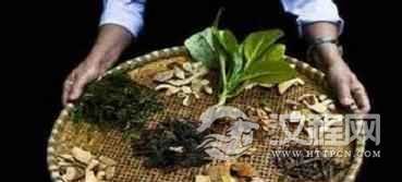 黎族医生是怎样用传统方法处理毒蛇咬伤的