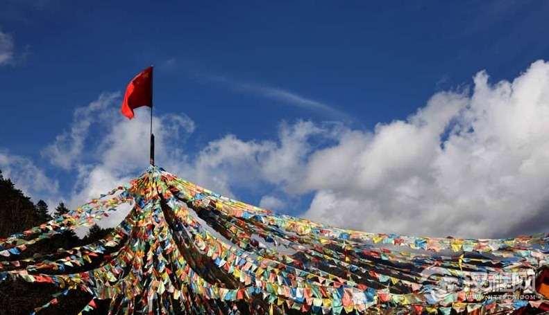 藏族在建国前后社会经济的变化是什么？