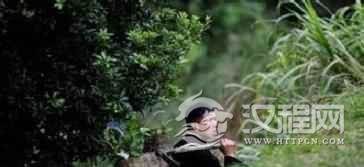 苗族医药文化苗族医药的起源与发展