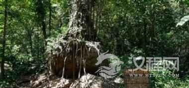 景颇族有哪些名人？景颇族名人大盘点