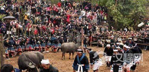 独特的白裤瑶丧葬习俗：砍牛送葬