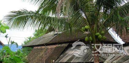 基诺族的建筑有什么特点？基诺族建筑结构简介