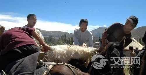 柯尔克孜族马奶节柯尔克孜族的马奶节有什么活动？