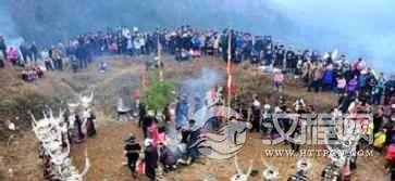 苗族传说苗族关于“龙”的传说是什么样的