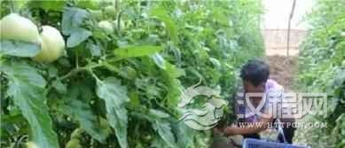 大厂回族自治县经济发展及特色行业