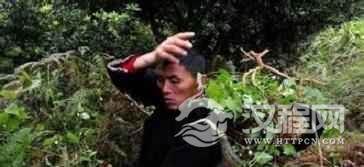 苗族文化苗族的医药文化有着怎样的起源