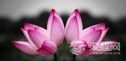 盘点：京族民间故事大全