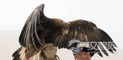 柯尔克孜族的猎鹰节的由来和传统