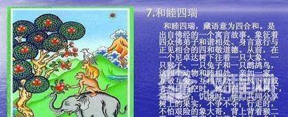 具有藏族特色的藏族的文化符号