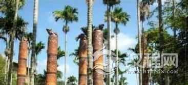 黎族人崇拜动物图腾和植物图腾是啥样的