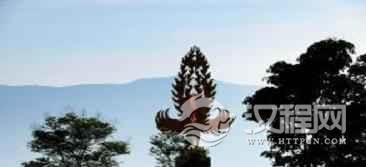 白族的雄鸡图腾啥样？白族人为何崇拜鸡