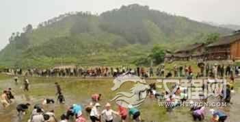 苗族农耕文化是啥？贵州苗族的农耕文化简介