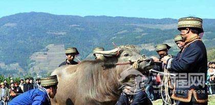 瑶族独特的风俗文化“瑶族砍牛”