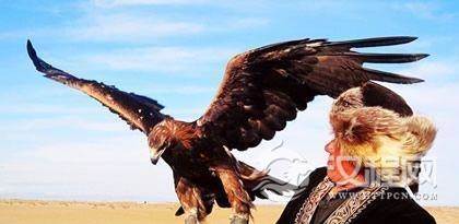 柯尔克孜族驯鹰习俗都有哪些？柯尔克孜族驯鹰风俗简介