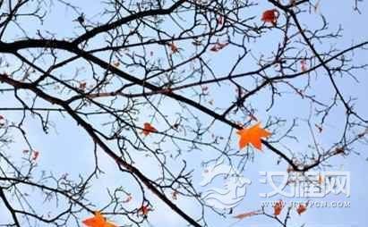 立冬和入冬是怎么回事