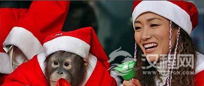 圣诞节是几月几日圣诞节的由来是什么