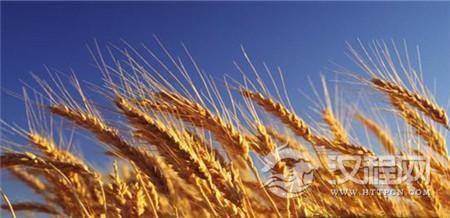 没想到三千年前的商朝人 饮食竟如此丰富！