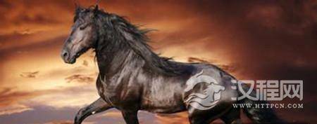 名马典故：霸王项羽临死前将坐骑赐给一位亭长