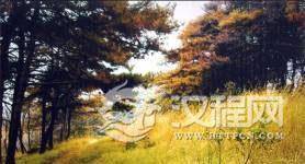 揭秘：宁死不当国民党俘虏 百余红军英勇跳崖