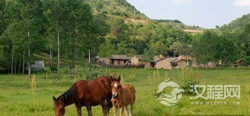 秦非子养马：秦非子为周孝王养马而被封地是真的吗