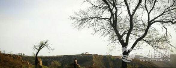 宣太后委身的义渠王是何方神圣？义渠王是谁杀的