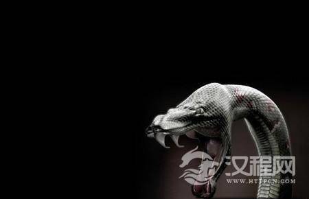 解密：成吉思汗陵在传说中有萨满巫师的符咒守护