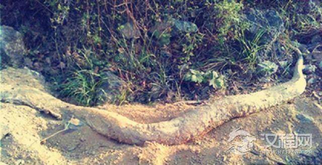 刘邦用一跟铁棍开启帝王之路 铁棍变镇国之宝！