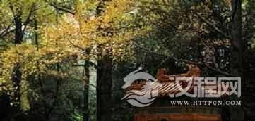 明太祖朱元璋的明孝陵什么样？明孝陵简介