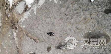 曹植墓出土新款组玉佩 系王粲新款玉佩最早实例